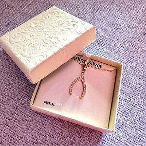 Wishbone Sterling Silver Gold Plated CZ Necklace